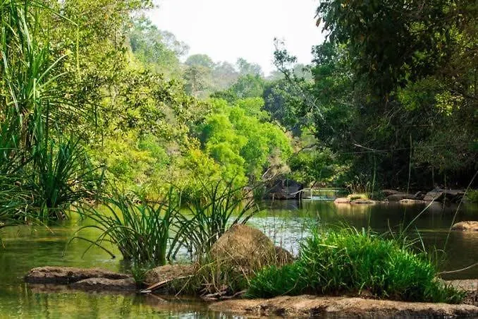 Dreaminn Family Homestay Meenangadi 0*,  Indien